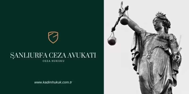 sanliurfa agir ceza avukati