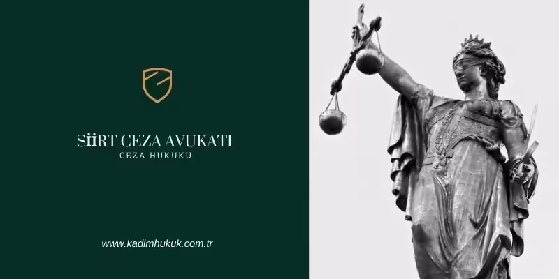 siirt agir ceza avukatlari