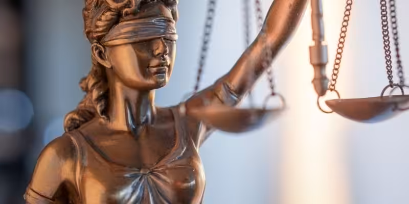 idari dava dilekcesi ornegi indir