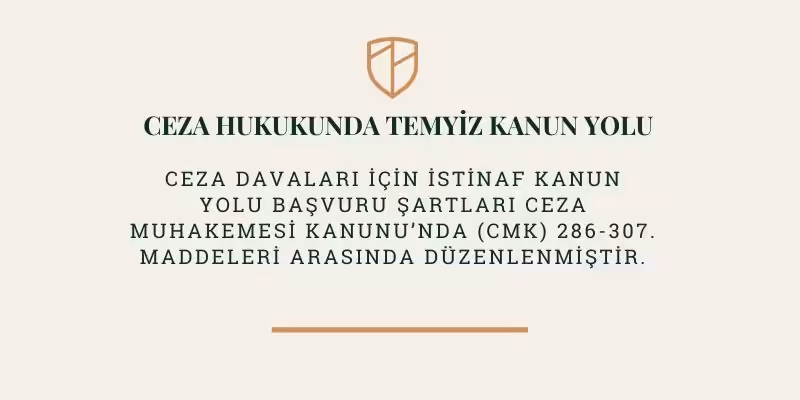 ceza davalarinda temyiz kanun yolu nedir