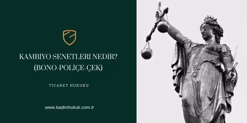 kambiyo senetleri nedir