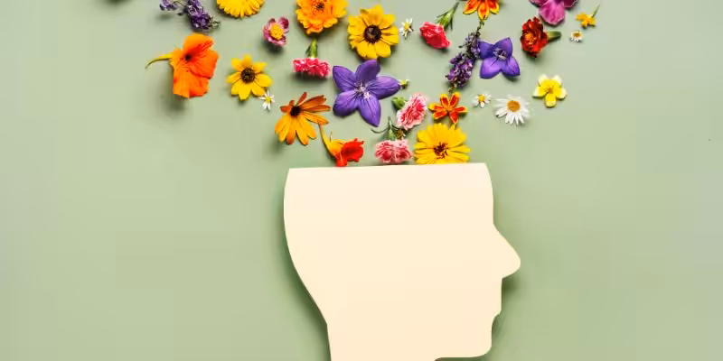 akil hastaligi nedeniyle bosanma davasi nedir