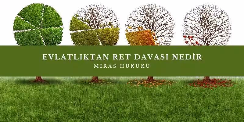 evlatliktan ret davasi nedir