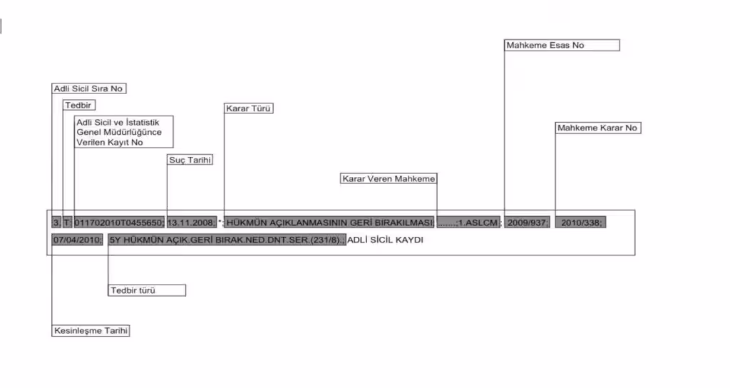 adli sicil kaydi arsiv ornegi