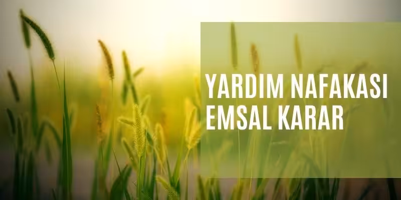 yardim nafakasi emsal karar