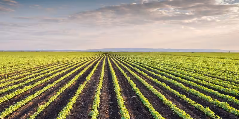 zorunlu gecit hakki davasi