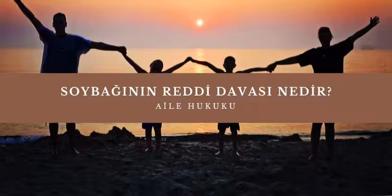 soybaginin reddi davasi nedir