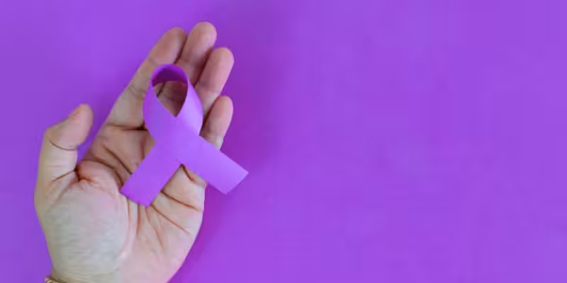 6284 sayili kanun nedir