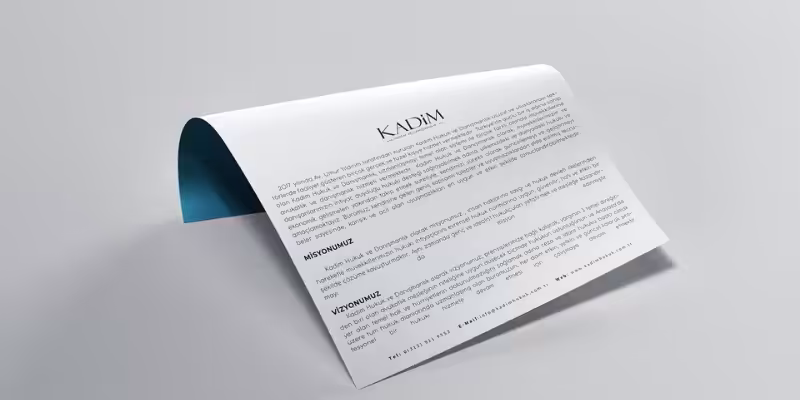 alacak davasi dilekce