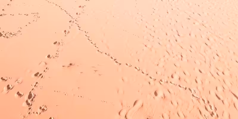 tck 53 madde hak yoksunlugu