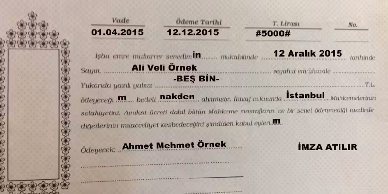 kambiyo senetlerine ozgu icra takibi durdurma