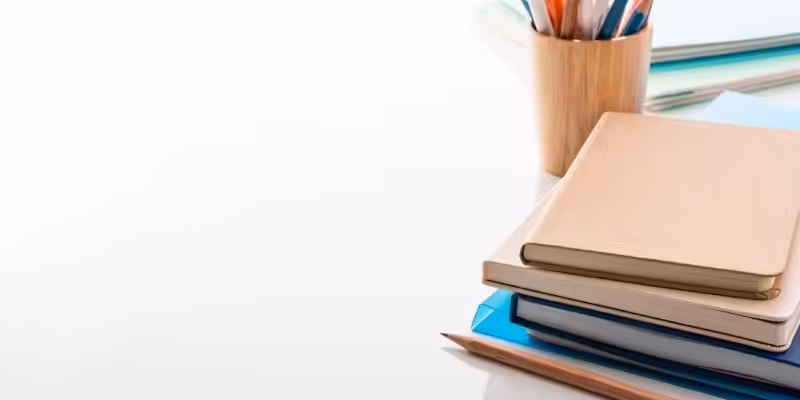 idare mahkemesine mudahale dilekcesi ornegi