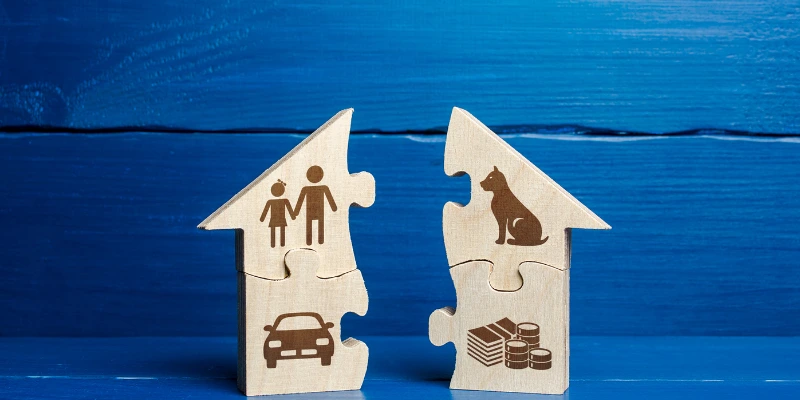 bosanma davalarinda taniklik zorunlu mu