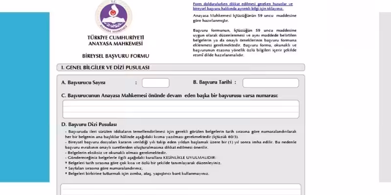 anayasa mahkemesine bireysel basvuru nasil doldurulur