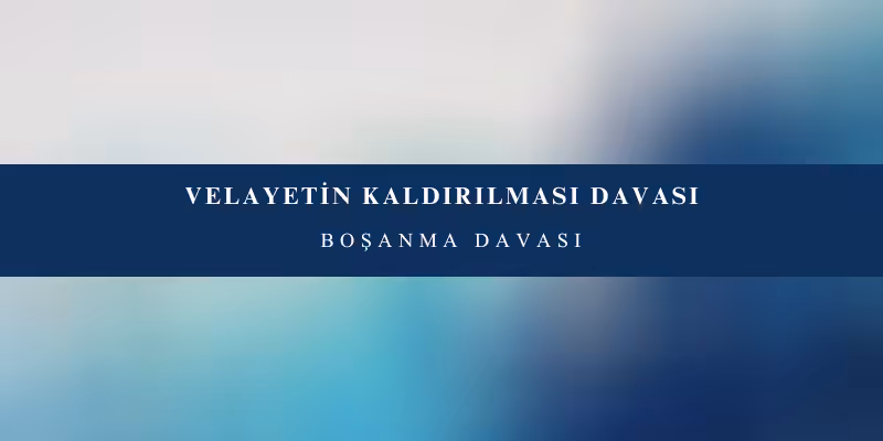 velayetin kaldirilmasi davasi