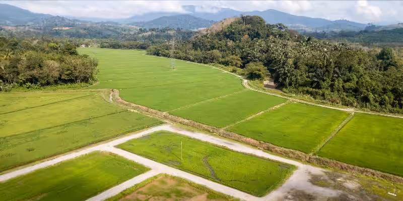 hazine arazisi isgali odeme emrine itiraz dilekcesi