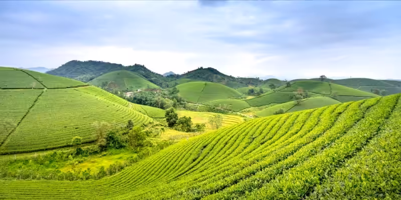 hazine arazisi isgali odeme emrine itiraz nasil yapilir