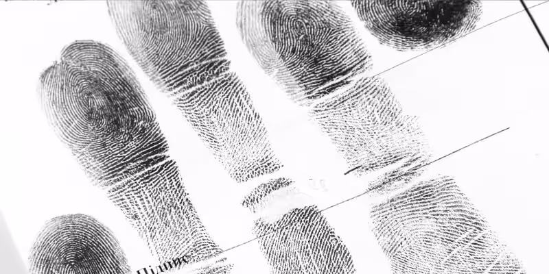 ceza muhakemesinin evreleri nedir