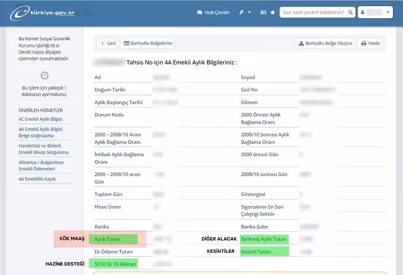 kok maas nasil ogrenilir