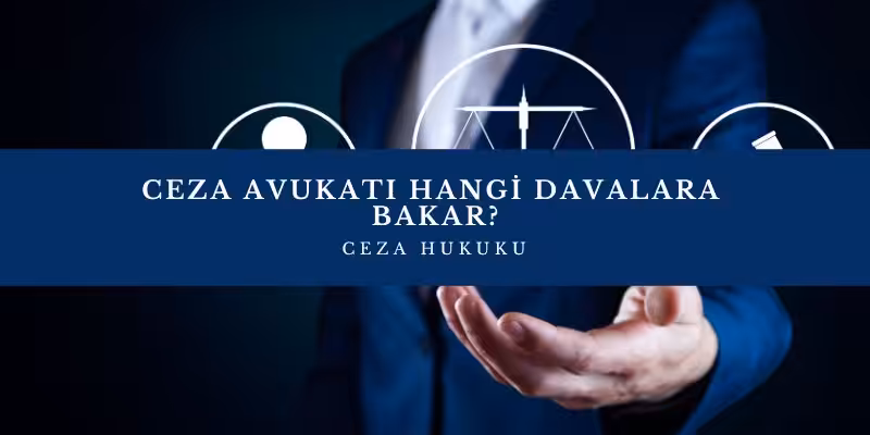 ceza avukati nasil olunur