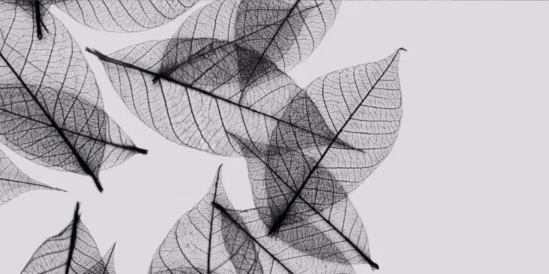 mustehcenlik sucu beraat karari